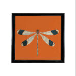 WINGS NO.2