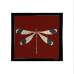 WINGS NO.3