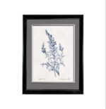 FLORA NO.1