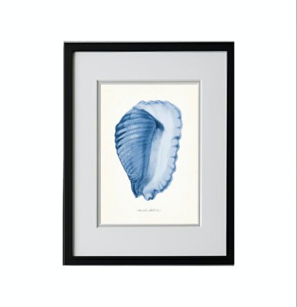 SHELL NO.1