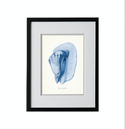 SHELL NO.2