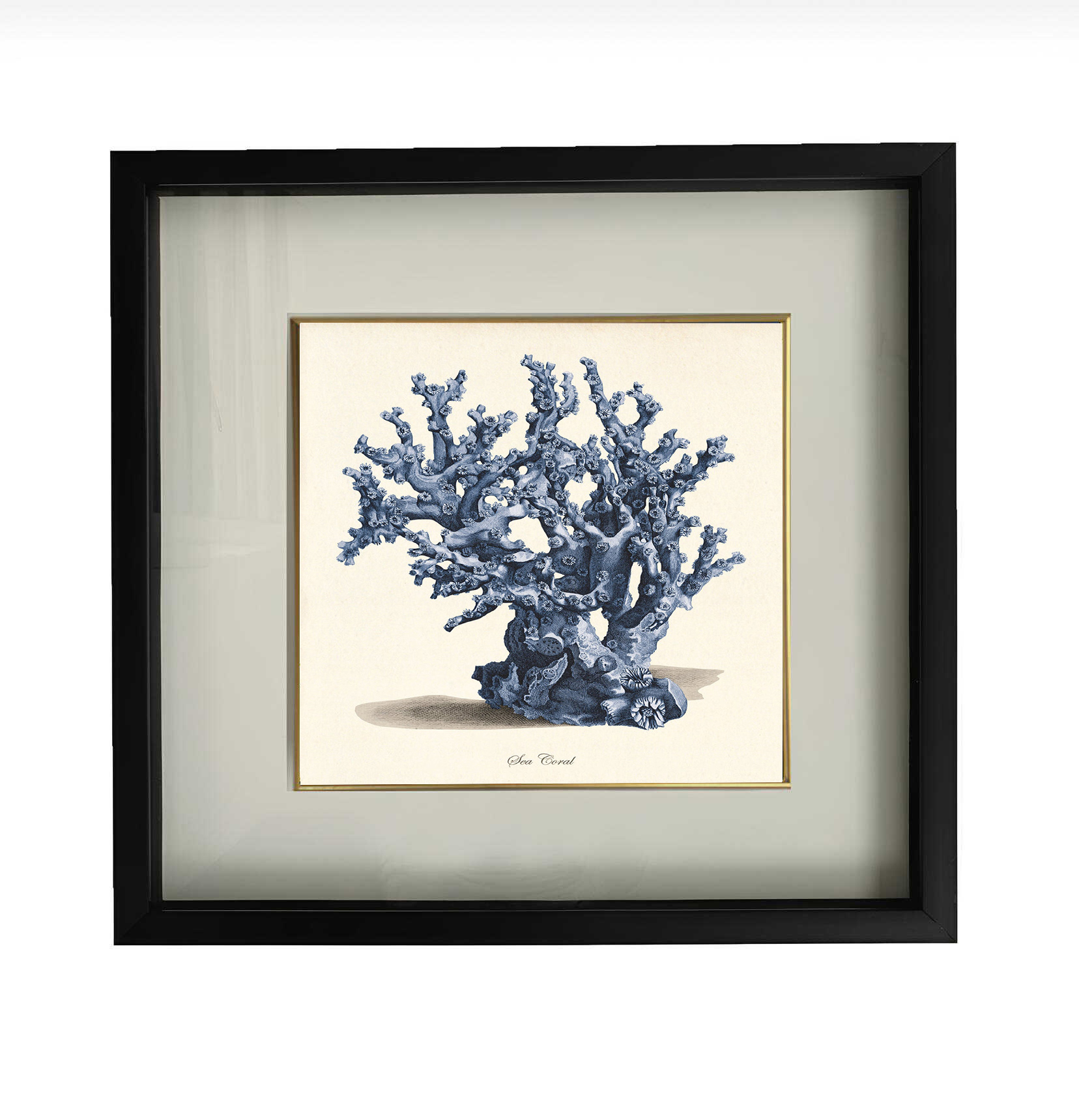 BLUE_CORAL_4_tekli BLUECORAL NO.4 - Görsel 1